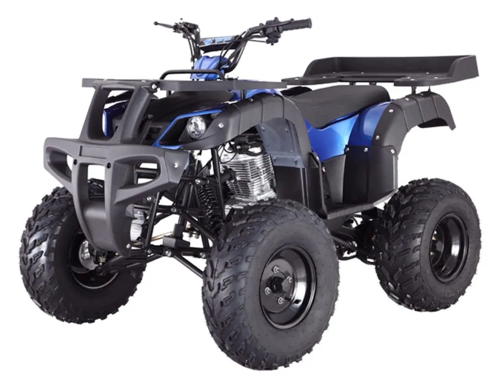 Tao Rhino 250, 197cc, Full Size Utility Quad 2-Wheel Drive, Manual 4 Speed with reverse, Throttle Limiter