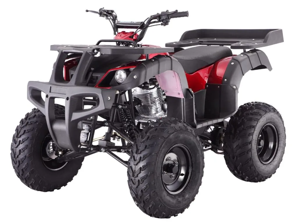 Tao Rhino 250, 197cc, Full Size Utility Quad 2-Wheel Drive, Manual 4 Speed with reverse, Throttle Limiter